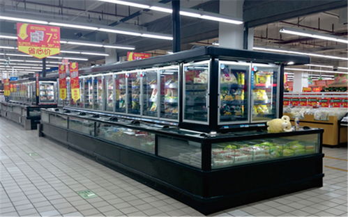 廣東冷凍柜廠家 比斯特專業冷凍柜 熟食冷凍柜廠家直銷高清圖片 高清大圖
